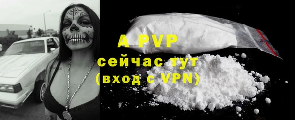 твердый Балахна