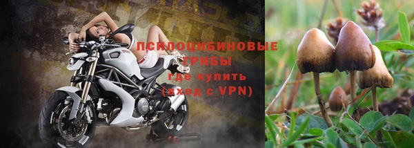 гидра Дедовск