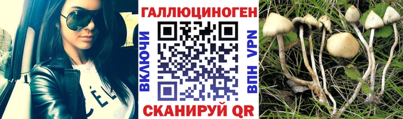 Псилоцибиновые грибы ЛСД  Бодайбо 